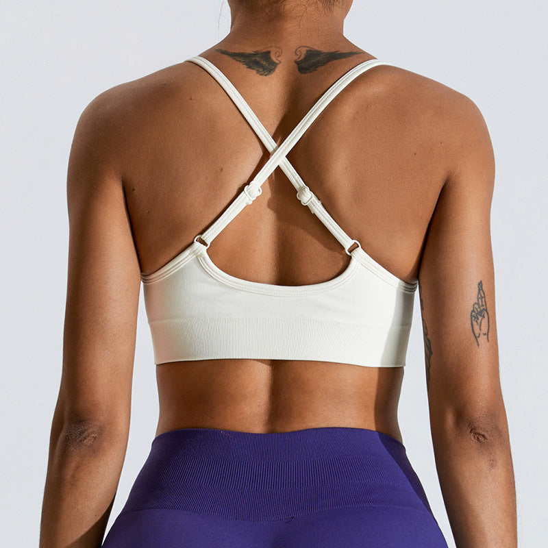 seamless sports bra