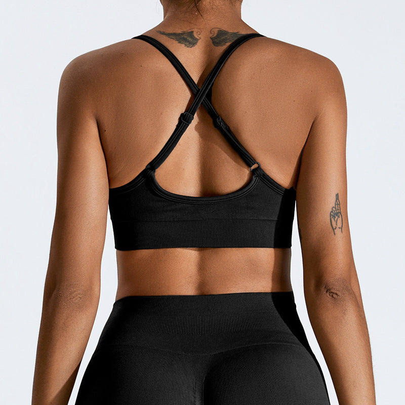 seamless sports bra
